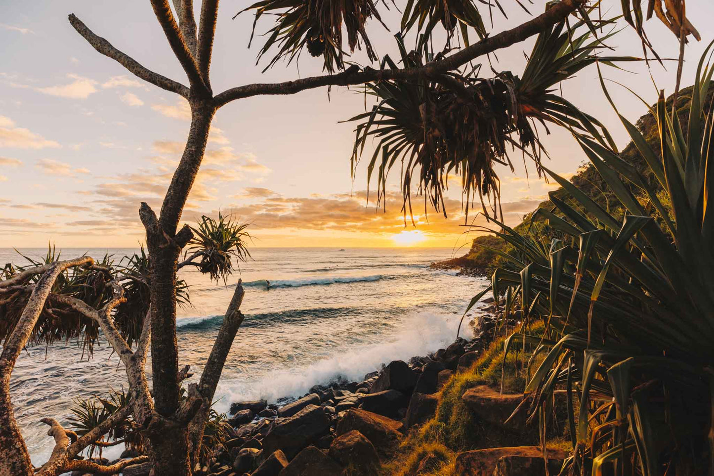 Surf with a beautiful sunrise / Burleigh Heads, Queensland, Australia